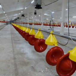 Комплекс по выращиванию и переработке индейки