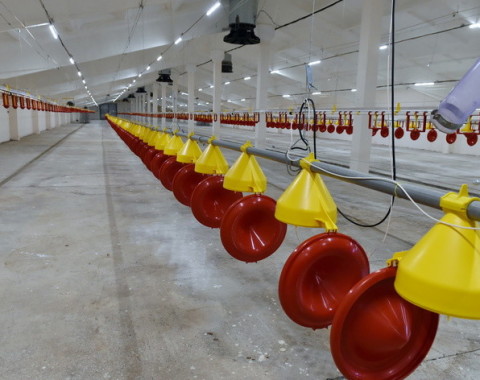 Комплекс по выращиванию и переработке индейки