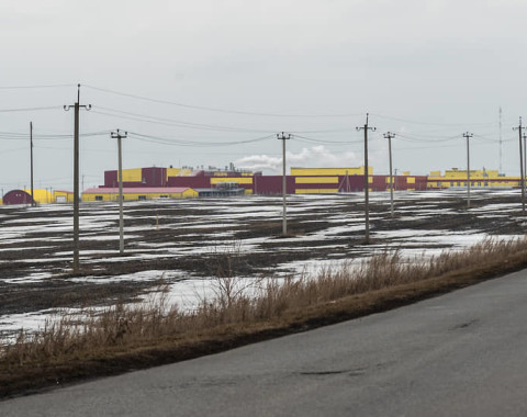 Комбинат по убою и переработке птицы