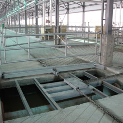 Молочно-товарная ферма на 1995 голов КРС в Верхнем Косьмове