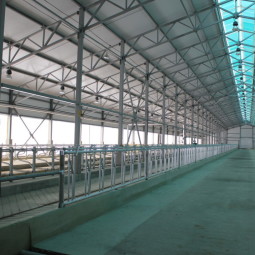 Молочно-товарная ферма на 1995 голов КРС в Верхнем Косьмове