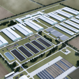 Молочно-товарная ферма на 2400 голов КРС в Азербайджане