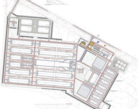 Животноводческая ферма на 2400 голов дойного стада КРС д. Вторые Левые Ламки
